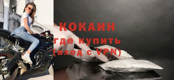 гашик Верея