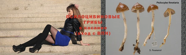 крисы Володарск